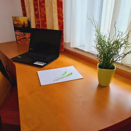 Wirt Im Feld シュタイアー